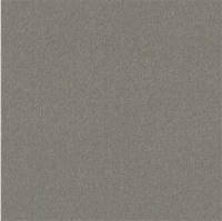  Attraction platina 0140